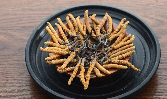 圖片