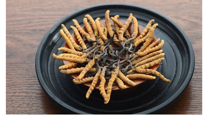 養(yǎng)生食譜推薦（冬蟲夏草）