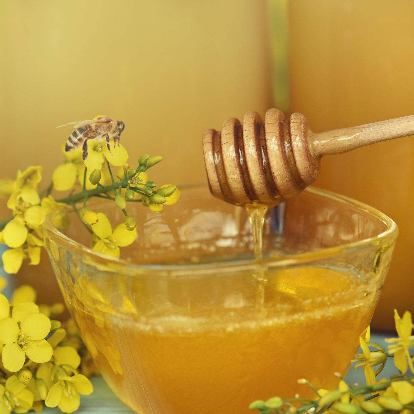 油菜蜜