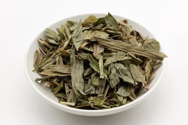 淡竹葉