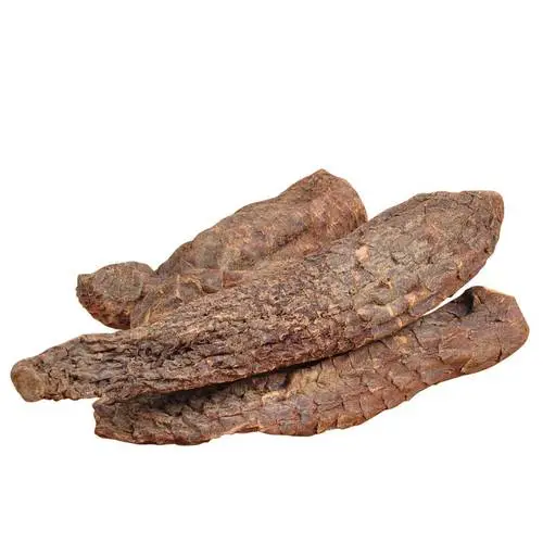 肉蓯蓉