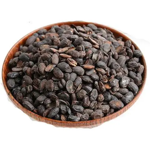 淡豆豉