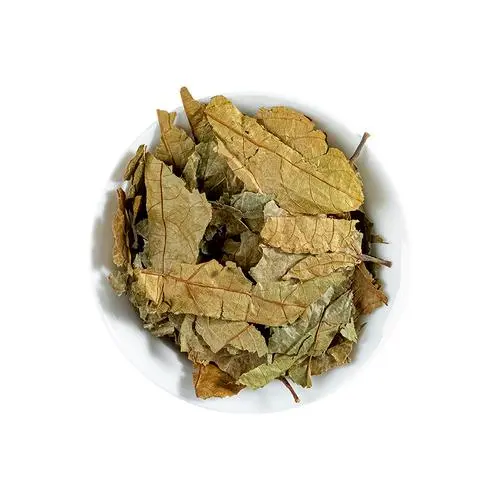 布渣葉