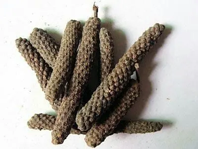 蓽茇