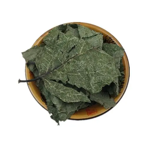 杜仲葉