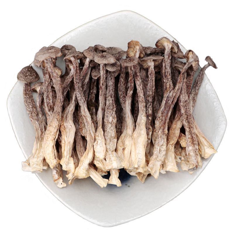 鹿茸菇