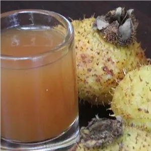 Prickly Pear Juice