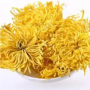 金絲皇菊