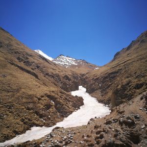 original environment