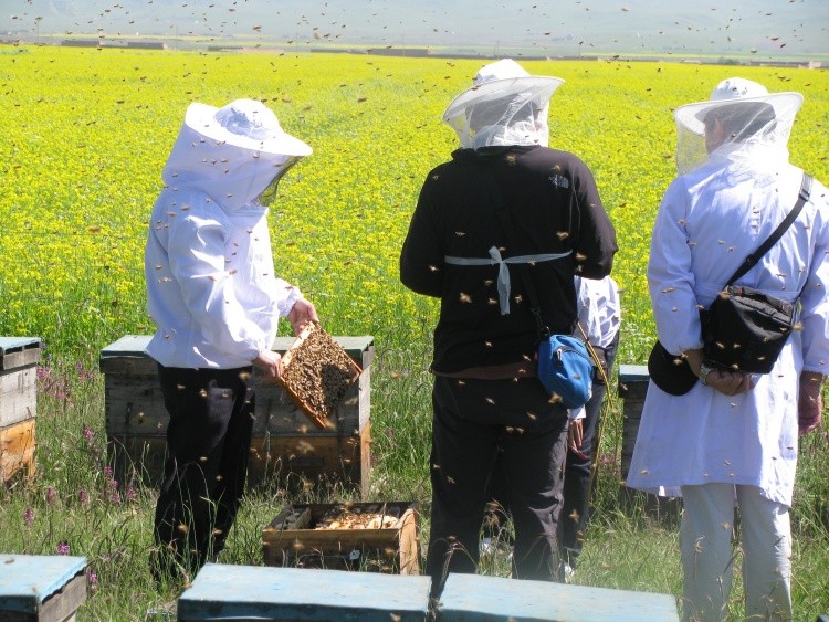 Qinghai Daily: Qinghai Xinkai Base Selected as the First Batch of Agricultural International Trade Quality Development Bases